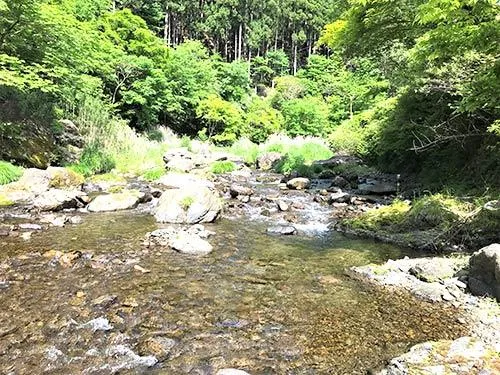 里川の雰囲気満点