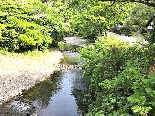 管理事務所すぐの上流風景