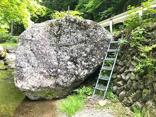 アプローチは設置された階段で