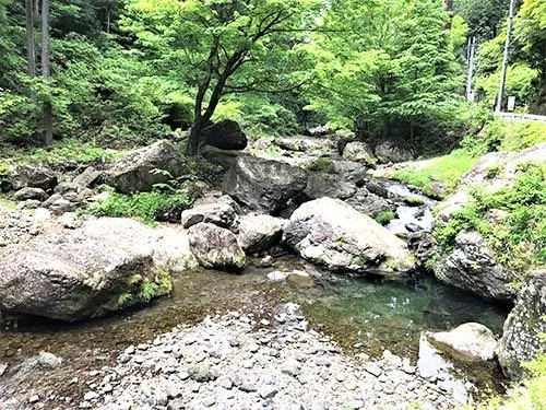 山岳渓流のような渓相も