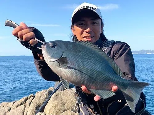 38cmのオナガグレ