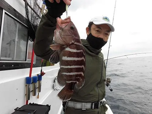 “大本命”のマハタです