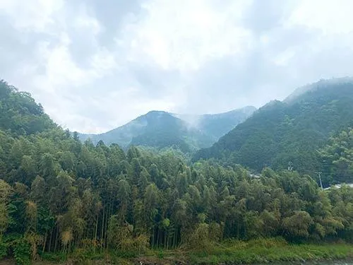 山には霧もかかりどんより空