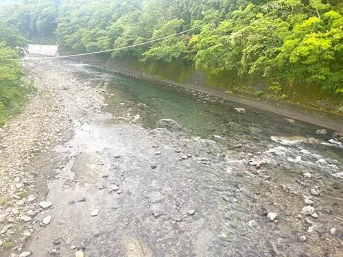 帰り道、また遊びにくるね～！