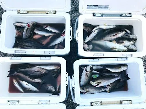 良いお土産が確保できた