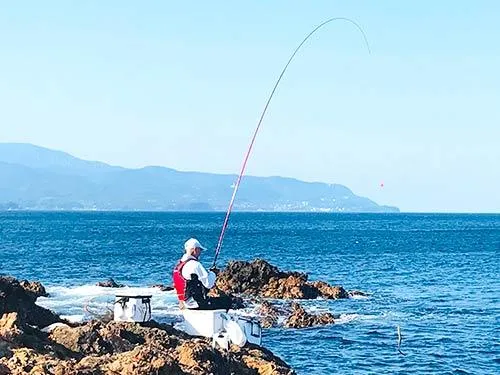 残念！上がってきたのは定番のゲスト