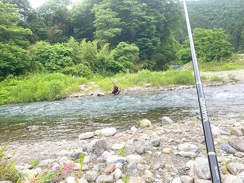 私の向かいの荒い瀬では良型のアユが出た