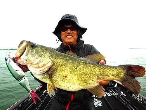 望月が釣り上げた65cm、4300g。リアフックが伸ばされているのが写真でもわかる