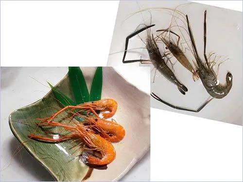 鮮やかな色に揚がった手長エビ