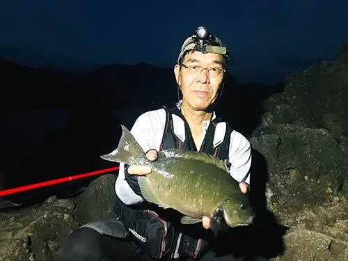竹中さんが釣り上げた綺麗な尾長メジナ