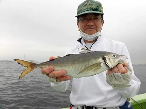 ライトタックルで釣り味もひとしお！