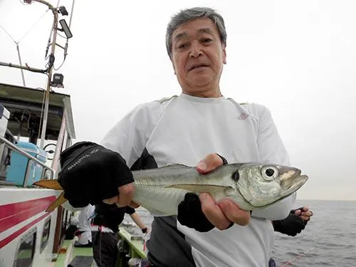船中1匹目から40cm超えの大物が！