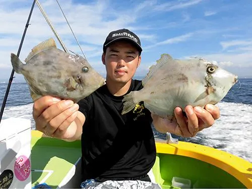 鴨居沖で釣れた良型カワハギ！