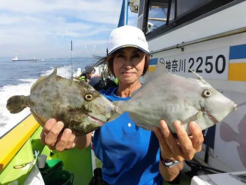 こちらは終盤の竹岡沖の中と大！