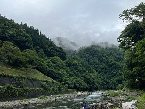 霧煙る山
