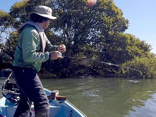1匹目をカバーから引き離した直後。重さはあるがあまり引かない…