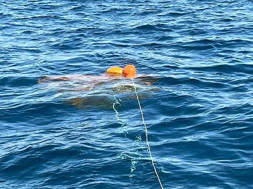 ポイントが決まったらパラシュートを投入、船の流れを調整する