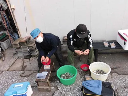 カワハギ釣りと言えばアサリ剥き（殻アサリ常備）