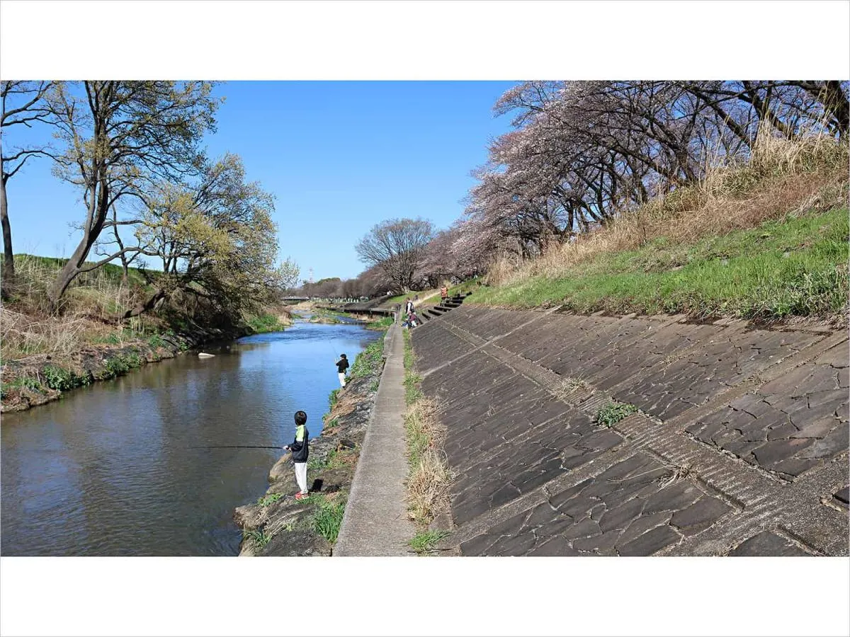 当日のポイント、延べ竿の餌釣り、ルアー釣り、フライなど様々な釣り方で楽しめる