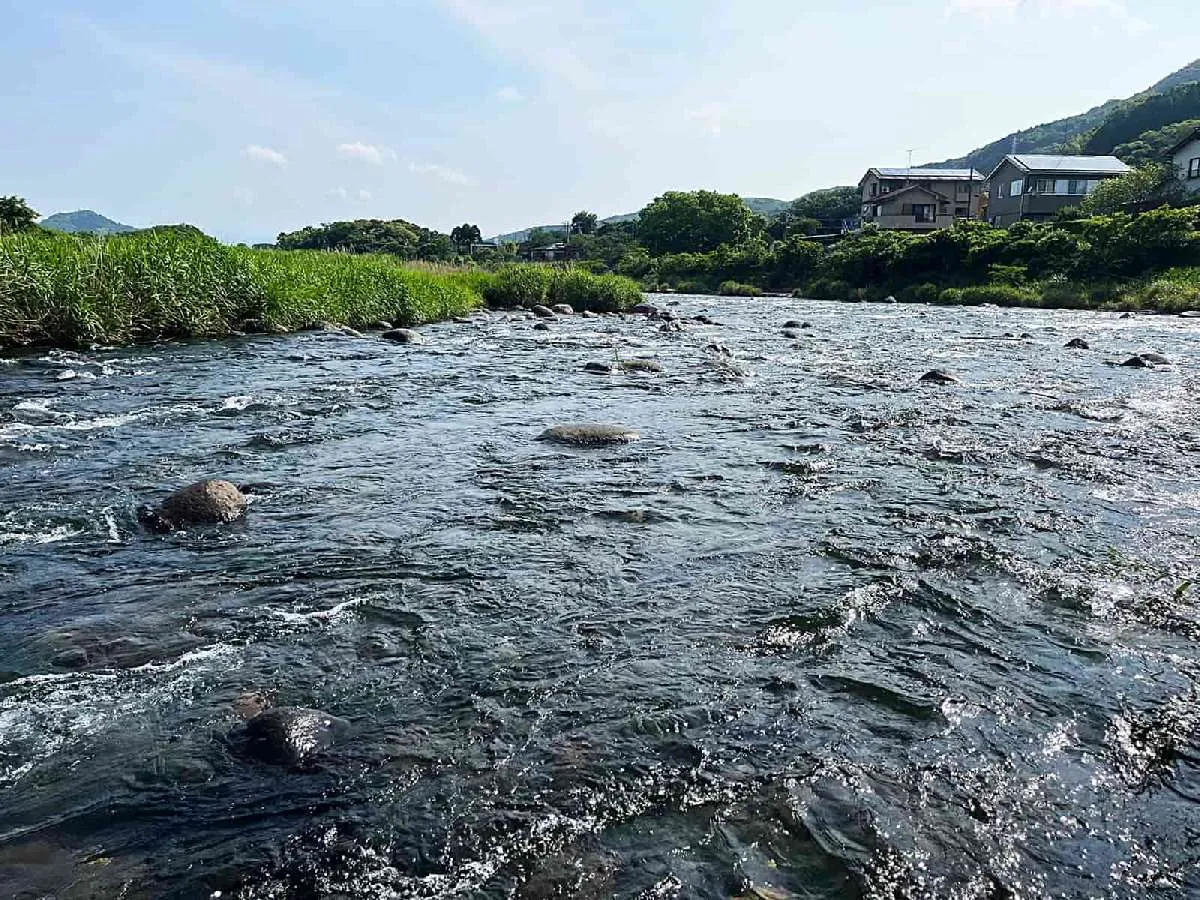 本流の流れは以前よりも少し強く荒く感じた