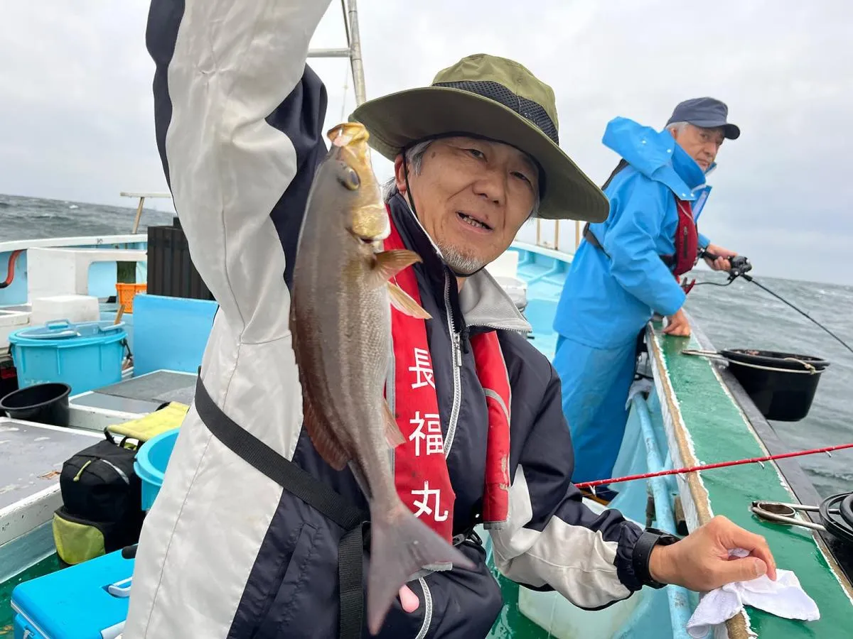 押し並べて型がイイ！