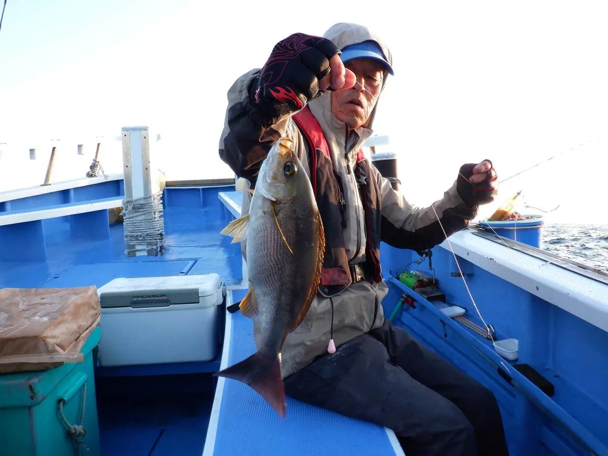 早速30cm級の良型イサキが釣れた！