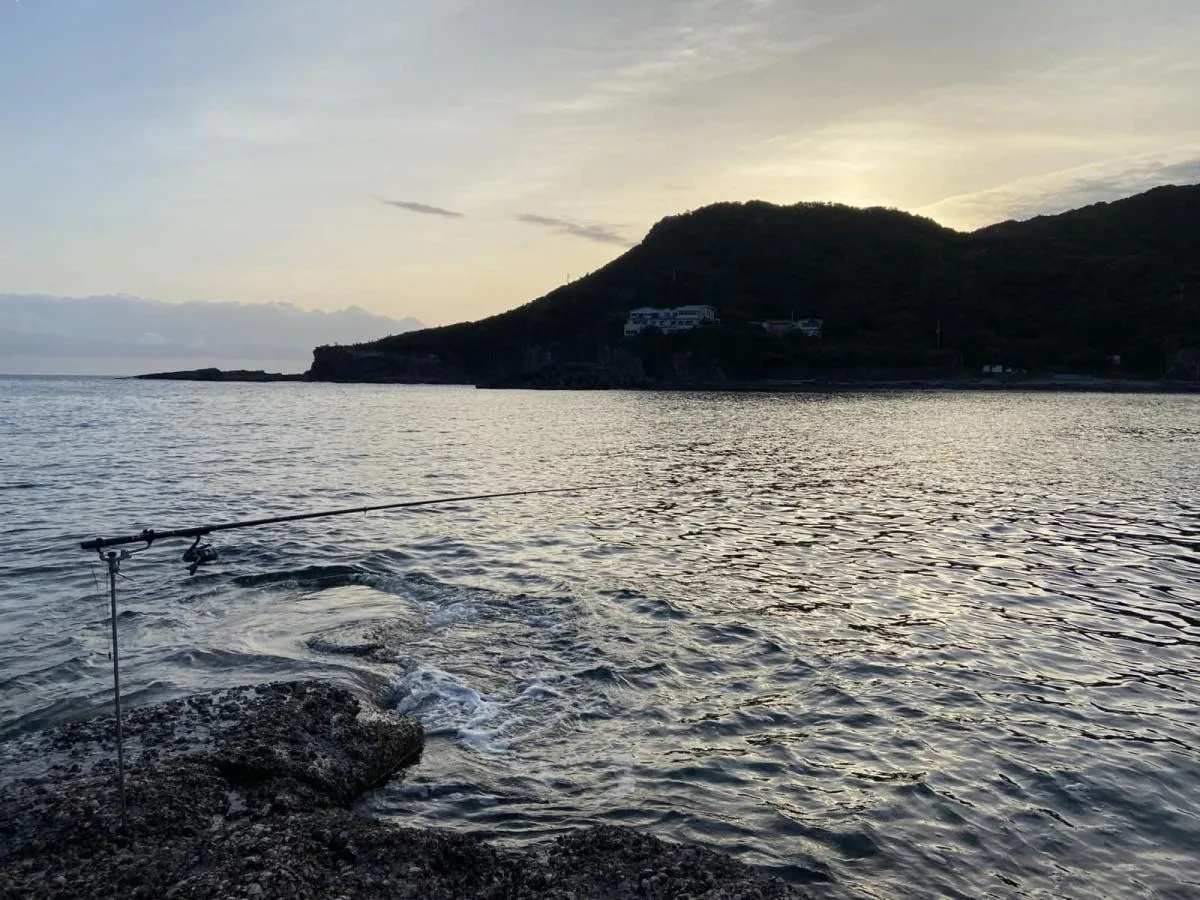 白浜町市江の地磯