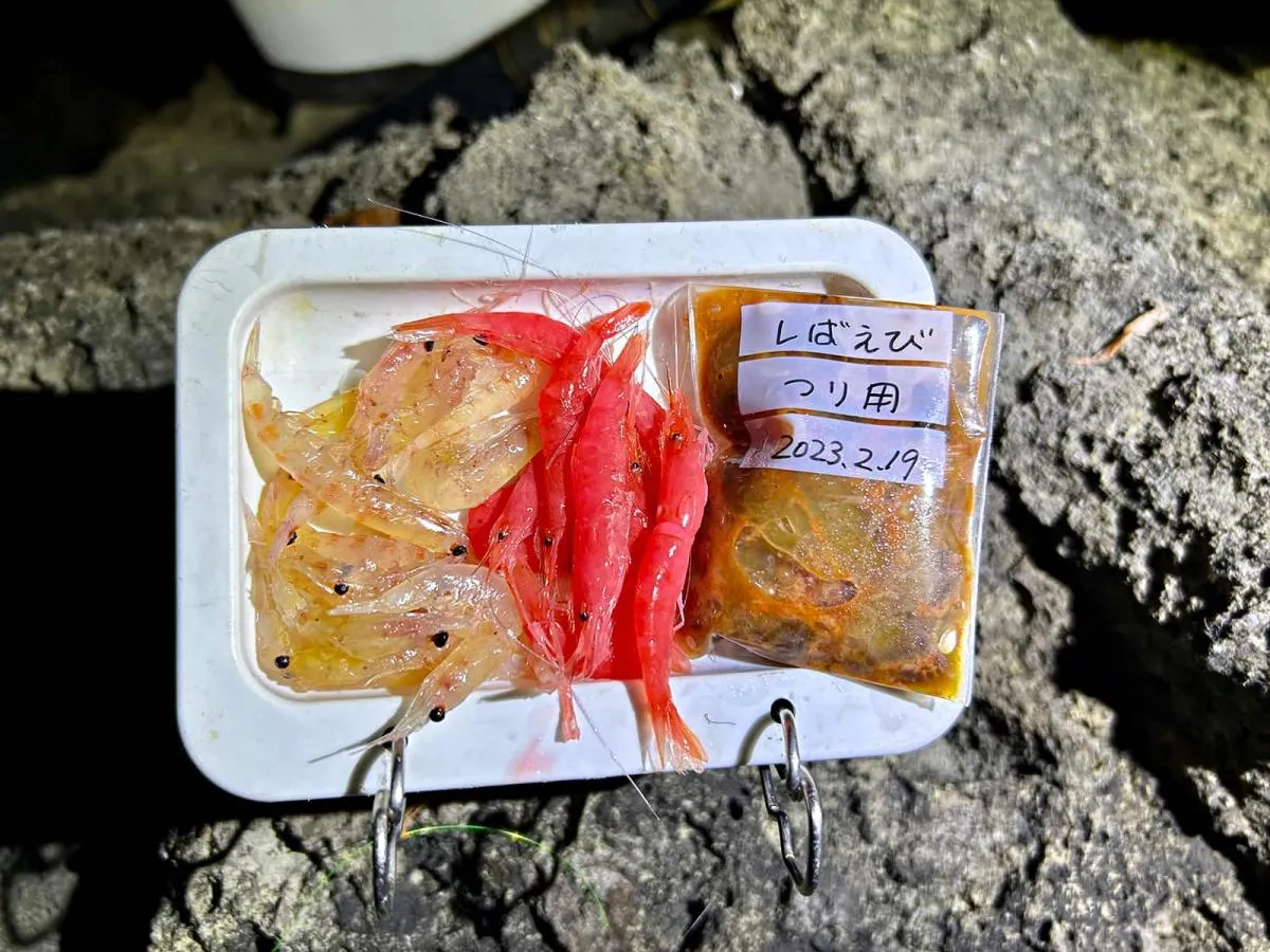 付け餌は左から加工オキアミ、丸エビ、芝エビのむき身。サイズはLL以上がお薦め