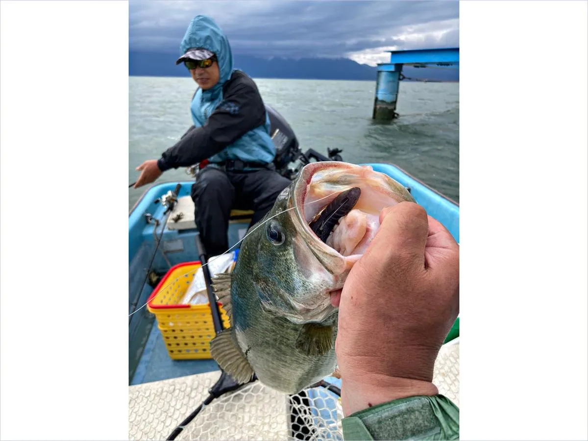 これも6月に取水塔で釣れたナイスサイズ