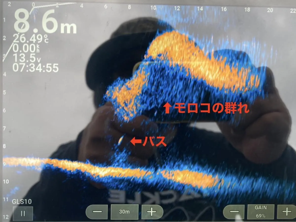 中層にいるモロコの群れとそれに付くバスの映像。モロコに付くバスにはスピードが効くことが多い気もする