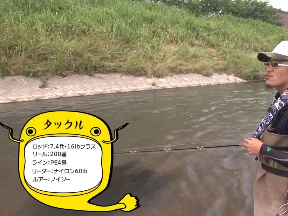 産卵を終えたナマズは幅の広い本流に戻り、じっくり休みながら回復する。飛距離も必要になるこの時期のセッティング