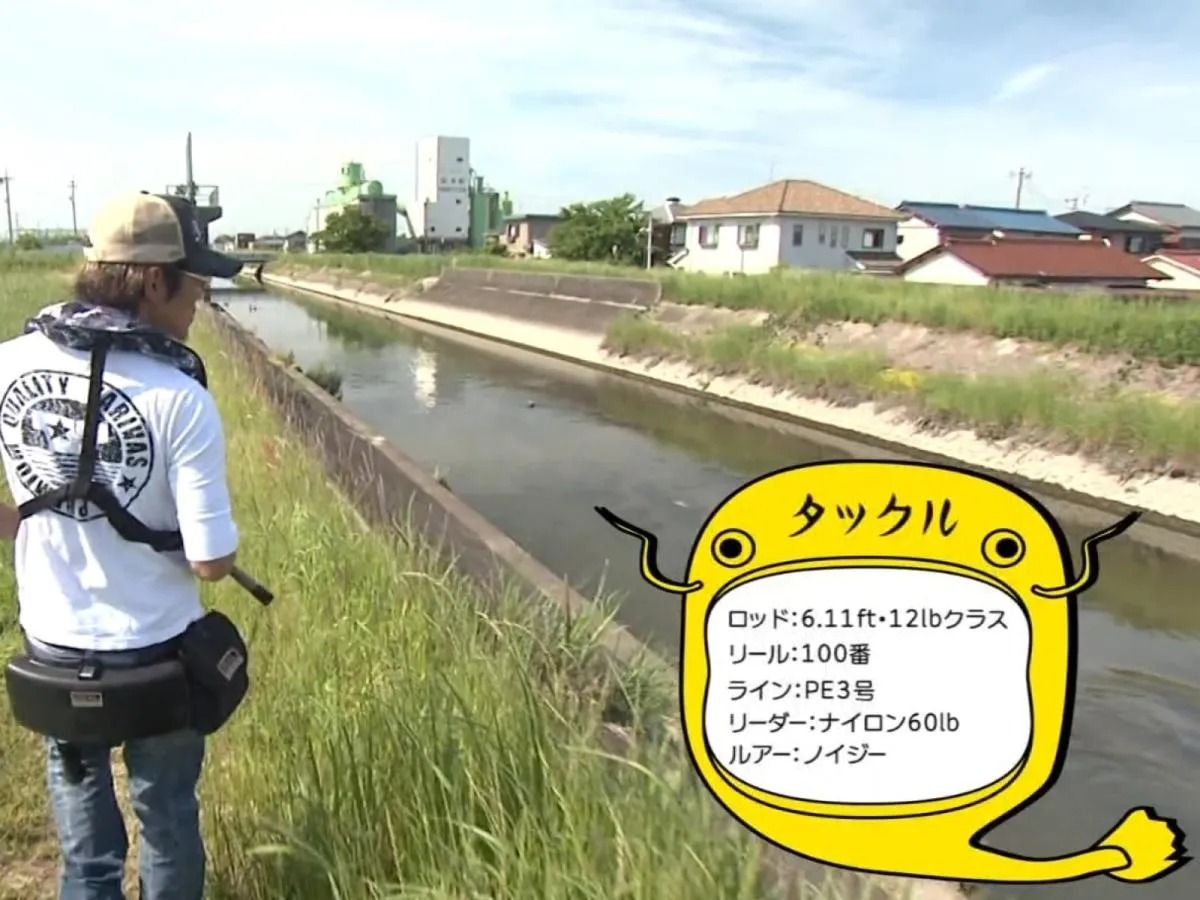シーズン前半、産卵を意識したナマズは上流の小河川や用水路(クリーク)を目指す。松本さんのタックルセッティングはコチラ