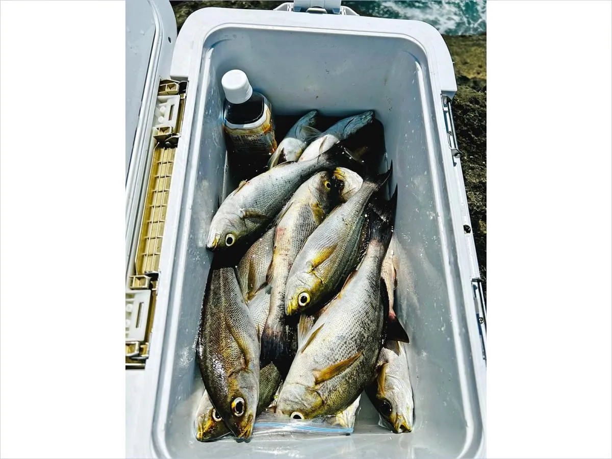 前半戦で目標の2倍の釣果（20匹）を達成！