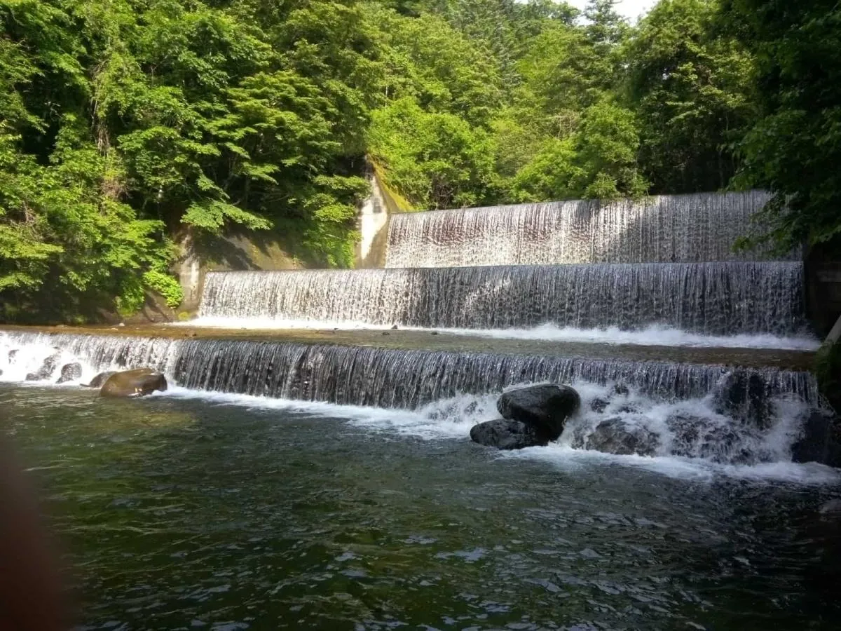 堰堤プール左岸の石の周りで