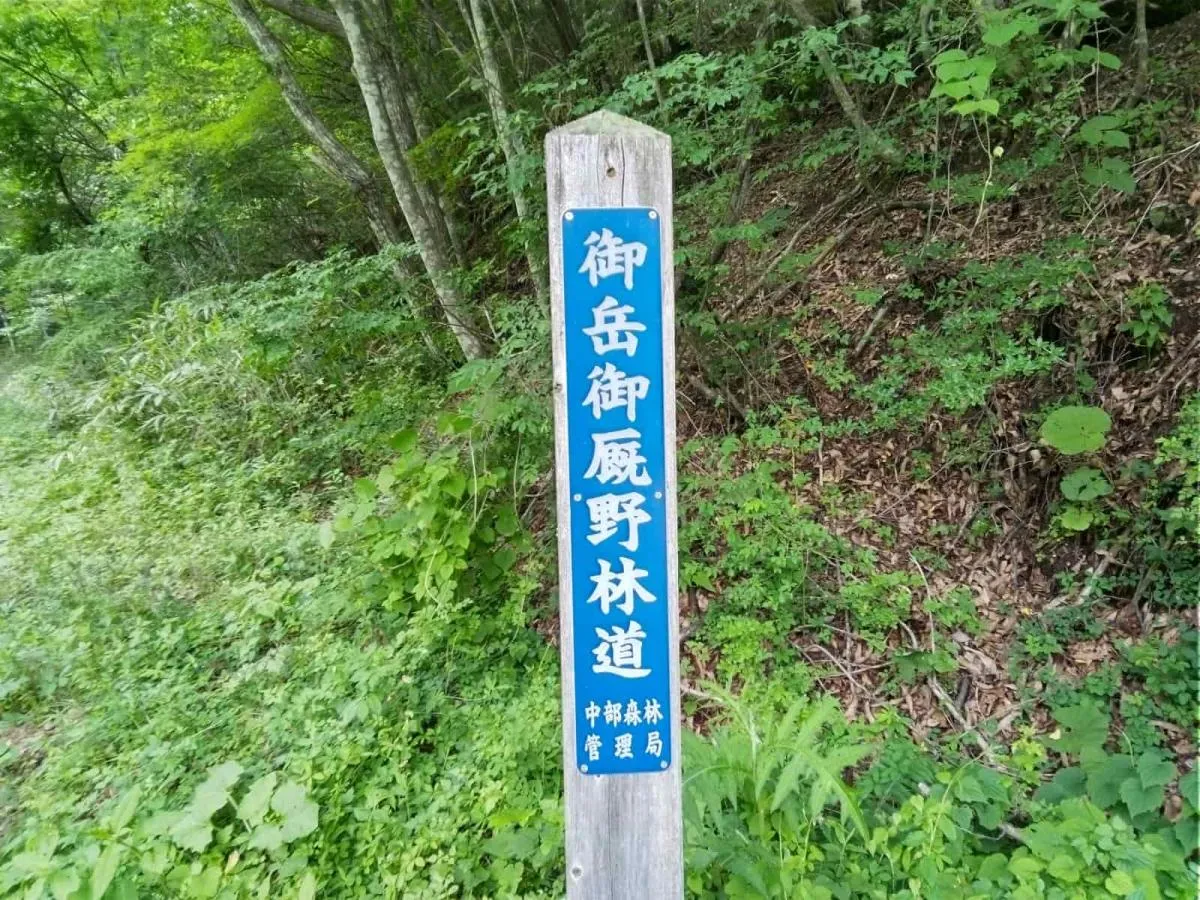 林道標