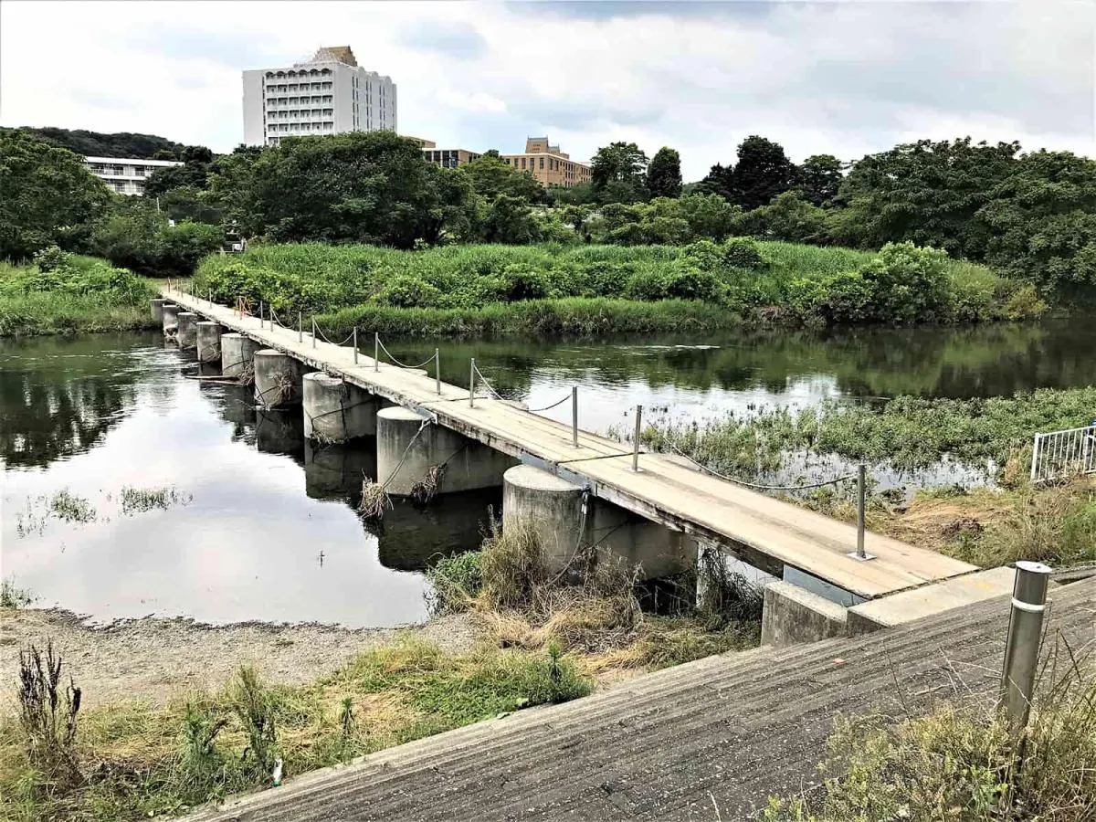 『阿須運動公園』内の入間川に設けられている流れ橋