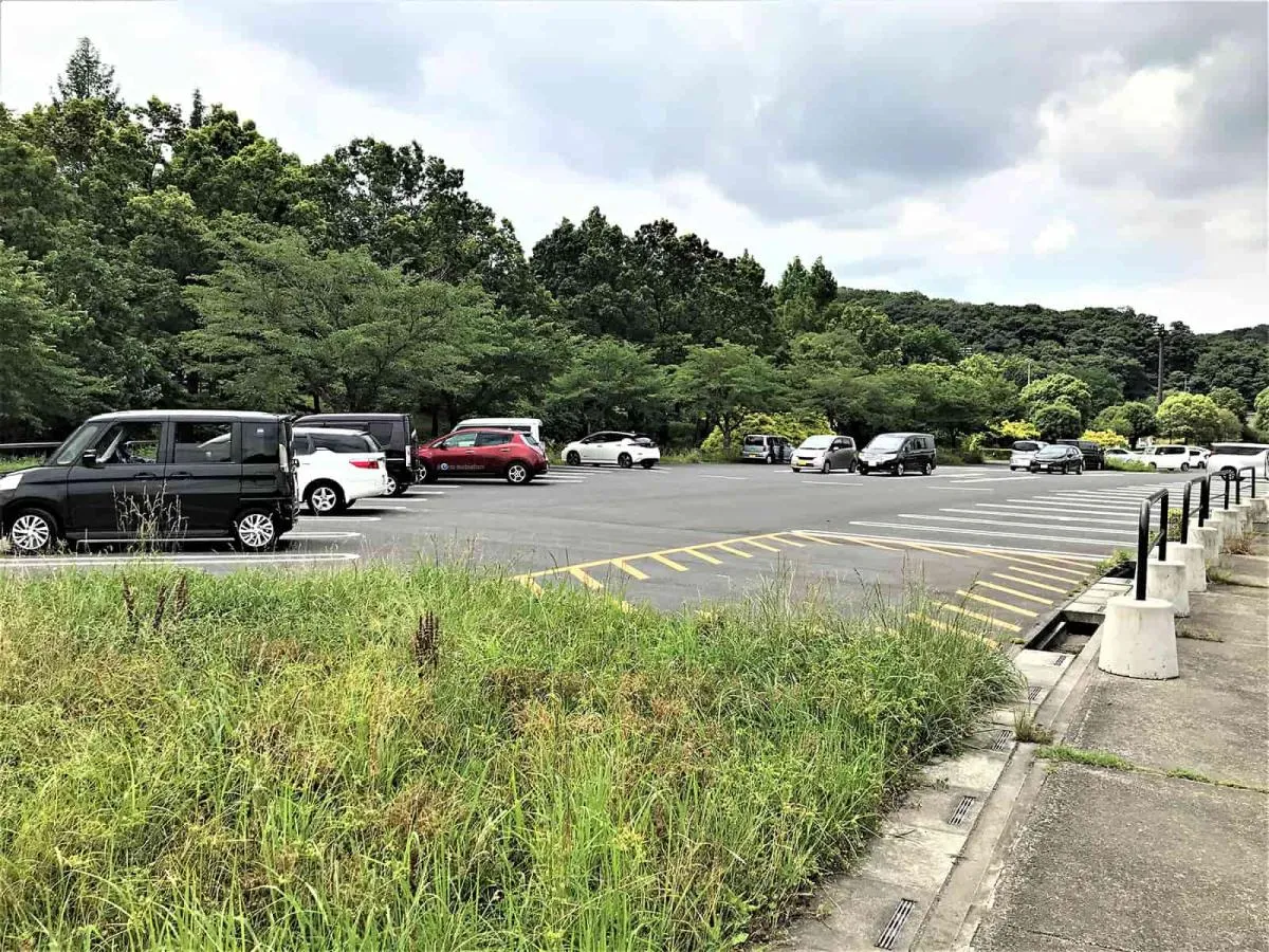 下流、入間市側の駐車場。すぐ右側が入間川