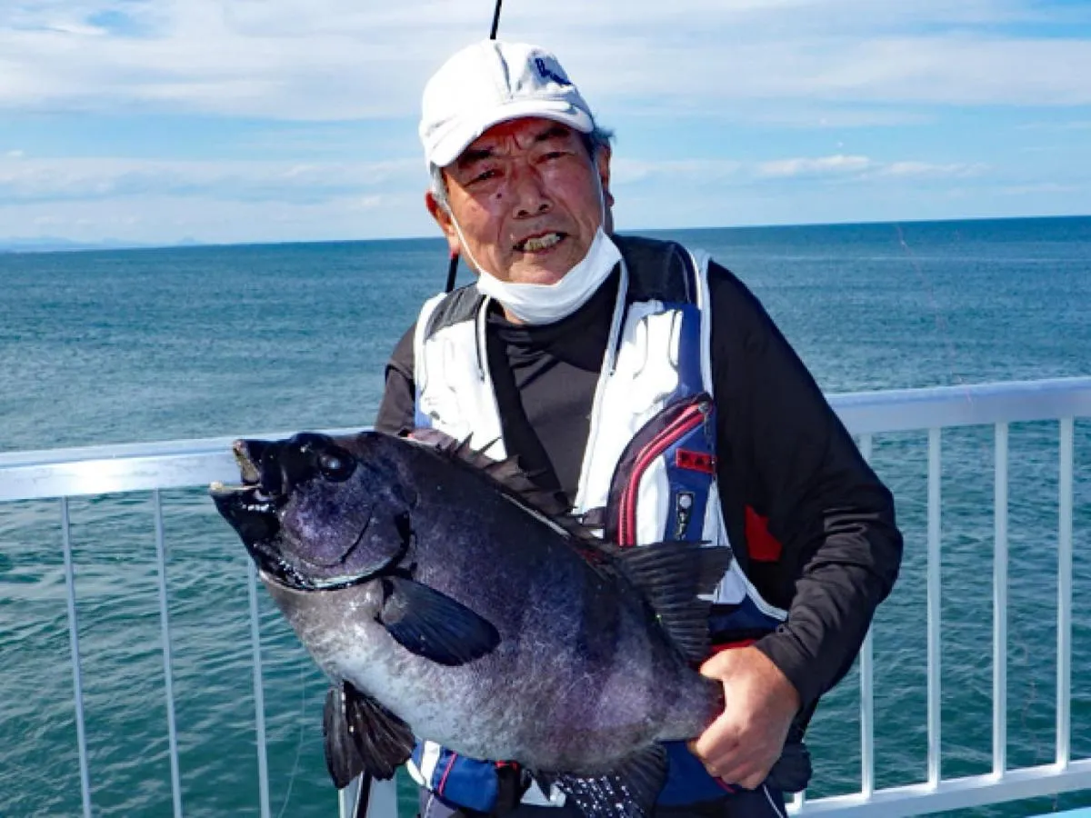 大型イシダイ！！