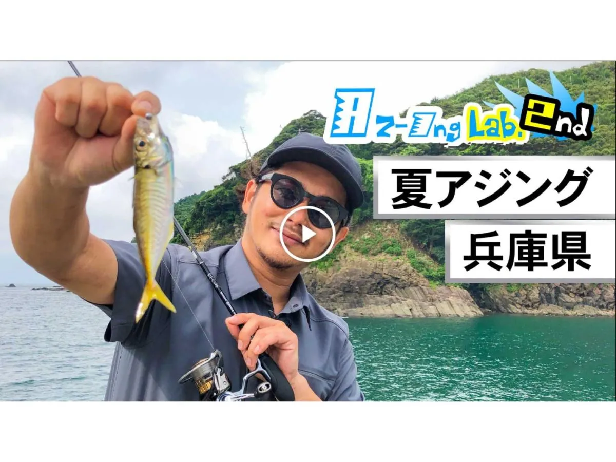 記事内容について詳しくは、釣りビジョンVODの動画『Azing Lab.2nd』62～夏の日本海 手軽で楽しいアジング～に収録！