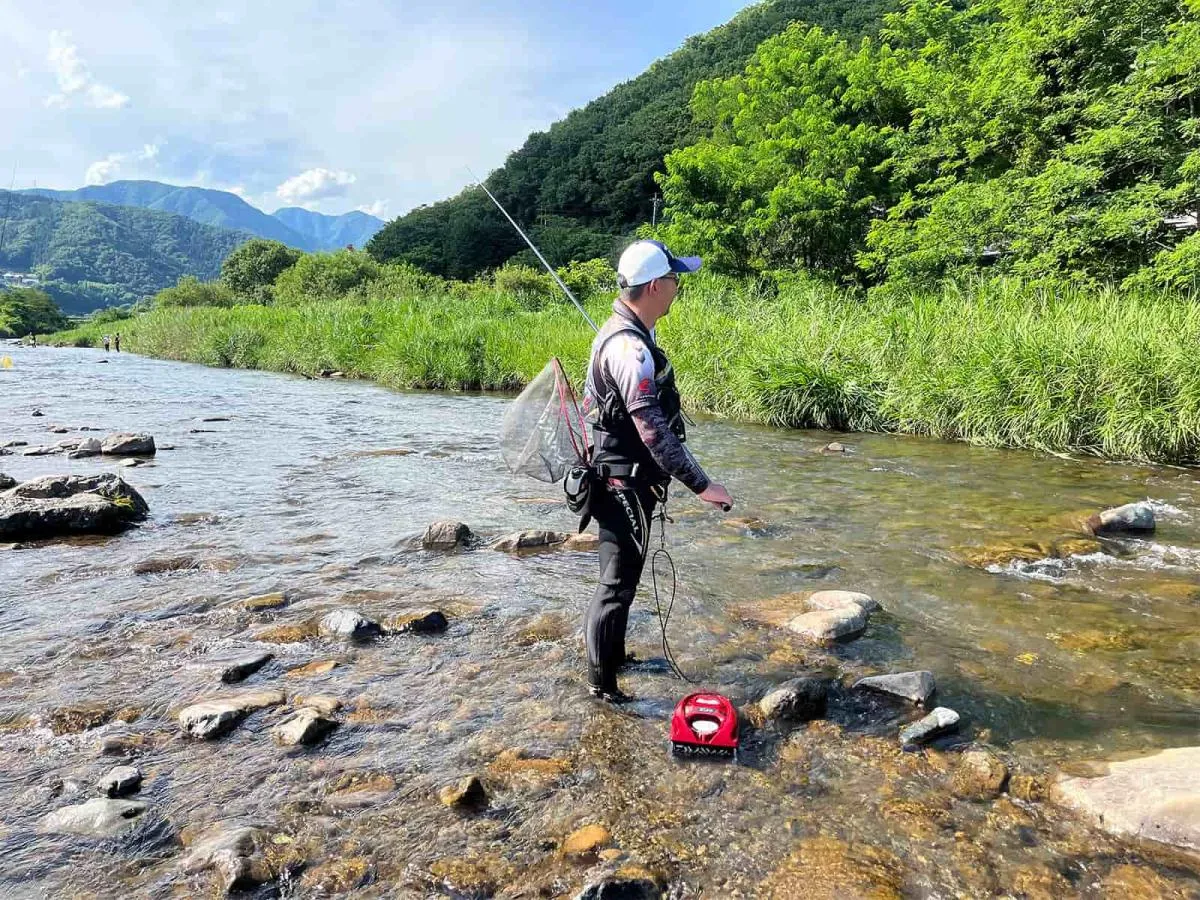 仲間も合流し皆で真っ黄っ黄アユを楽しむ