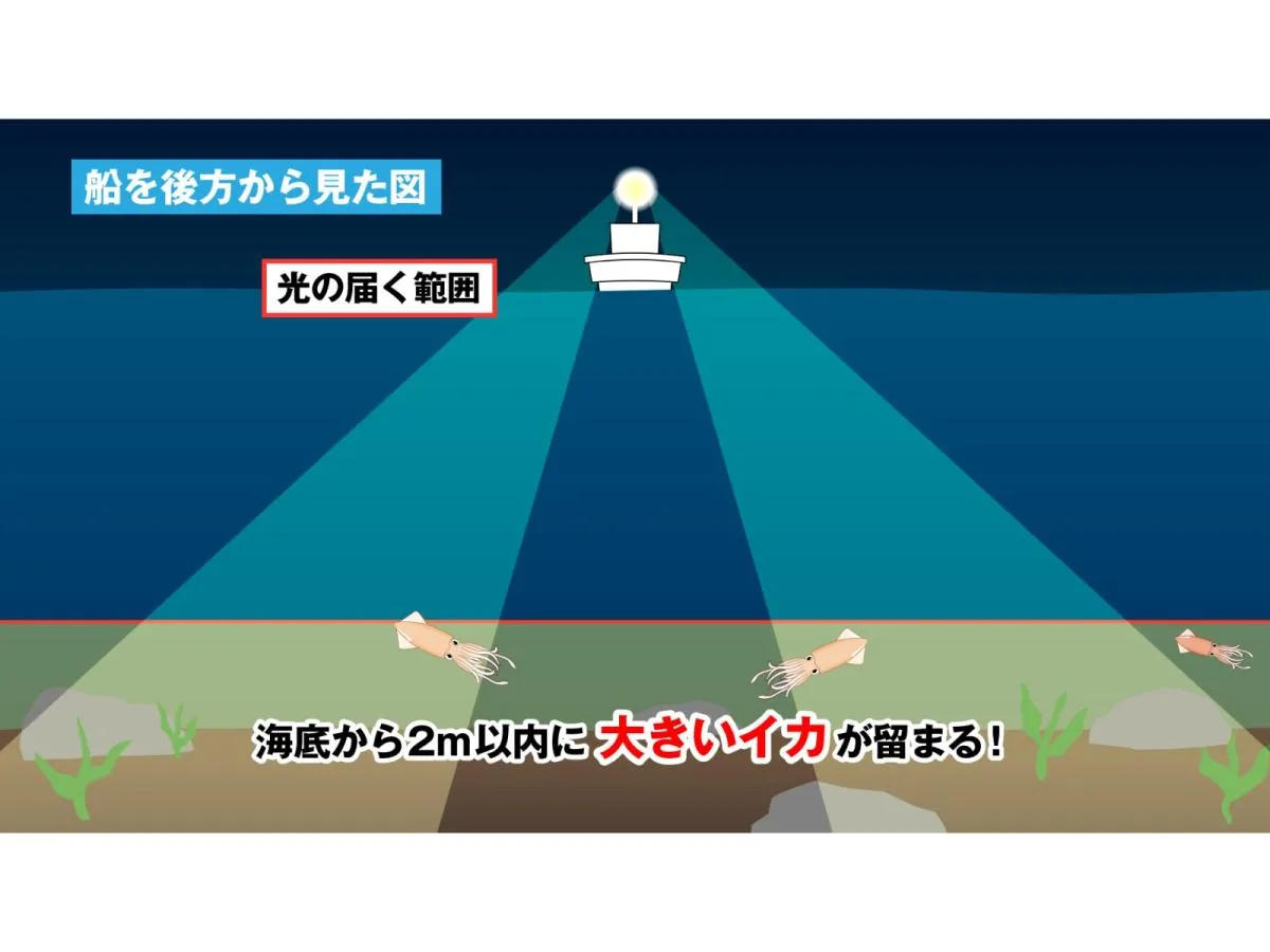 ボトムから2ｍに大型がたまる。©釣りビジョン