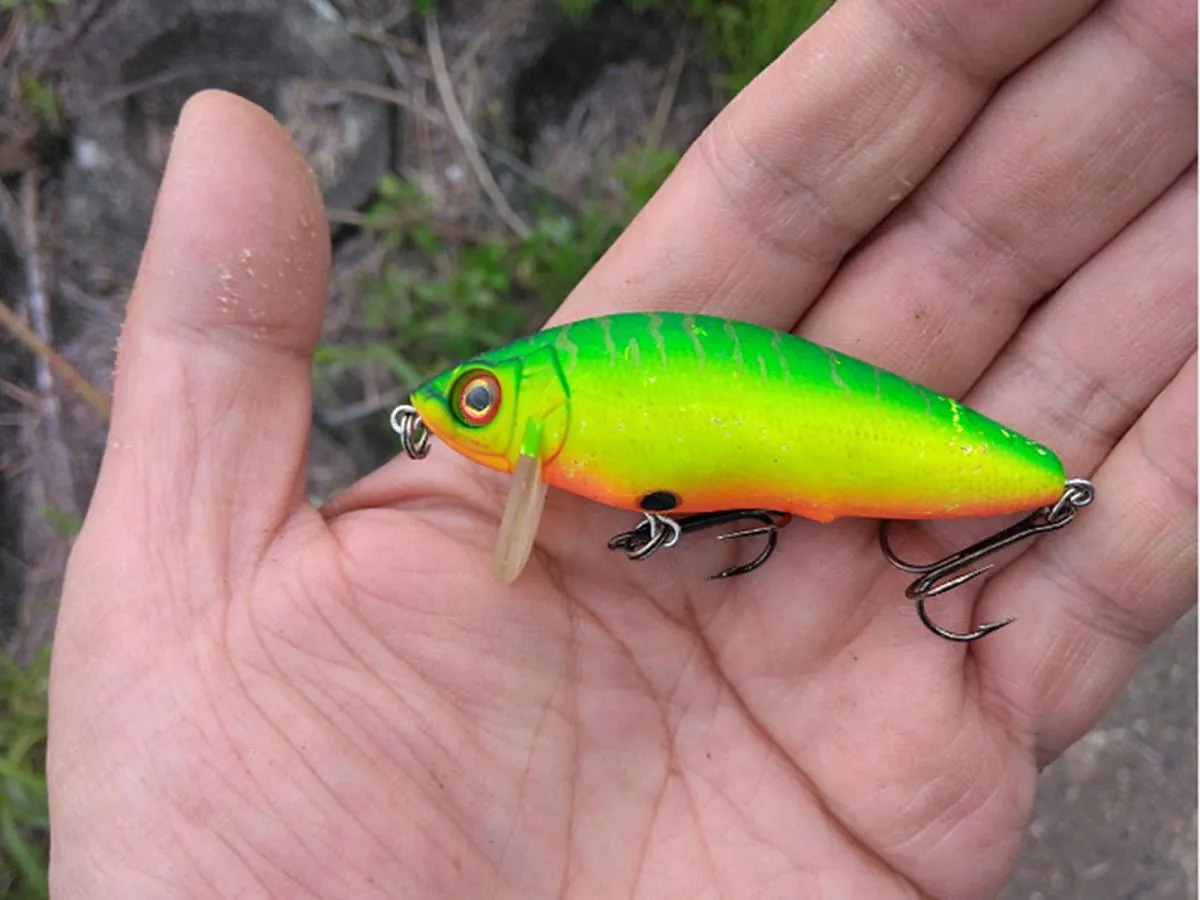 魚をキャッチした魚舞流0。絶版ルアーなので、大切に使っている