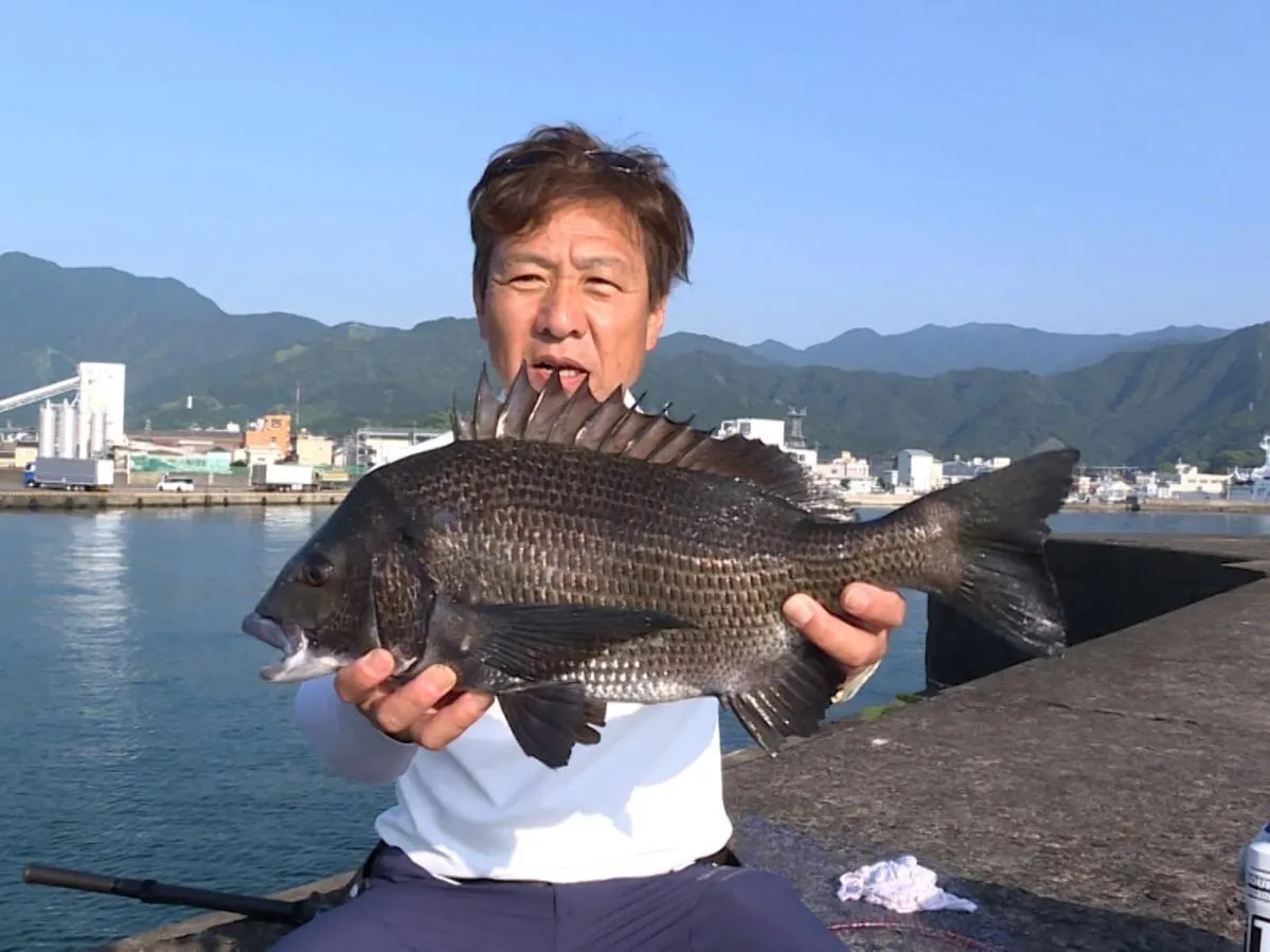 55cmを頭にウキダンゴ釣り4枚キャッチ（第96弾/2019年7月 三重県 尾鷲湾/『釣りビジョンVOD』で配信中）