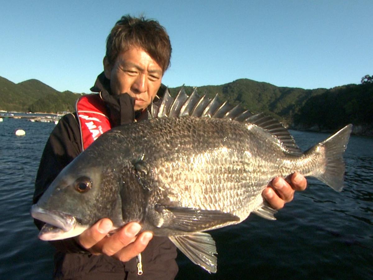 55cmを頭に7枚キャッチ（第69弾/2015年1月 三重県 宿浦/『釣りビジョンVOD』で配信中）