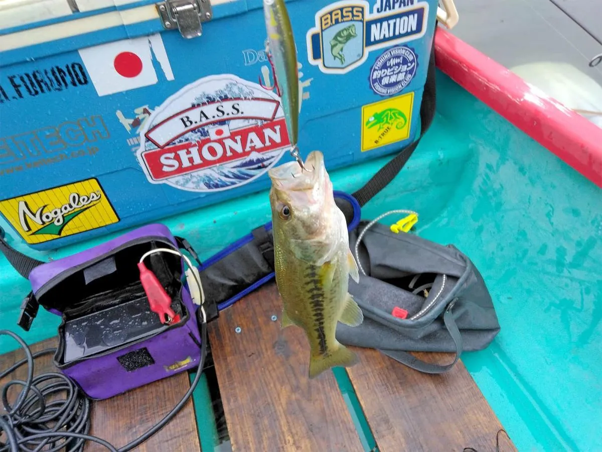シルバークリークミノーでキャッチした1匹目！小さい…