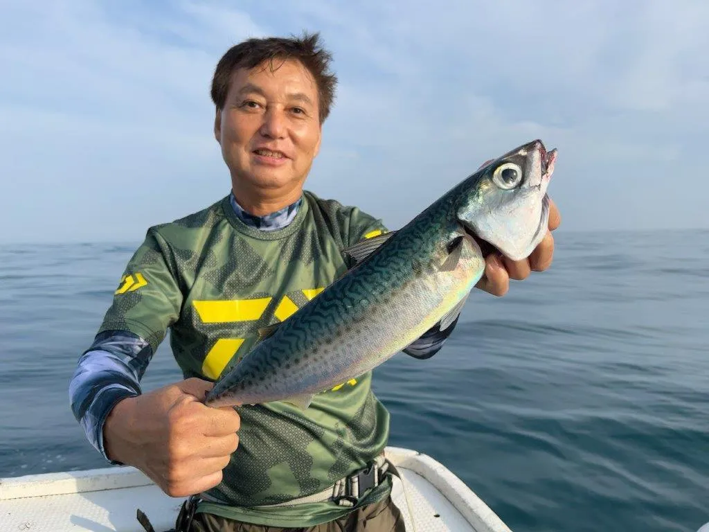 良型のゴマサバ、これからが旬