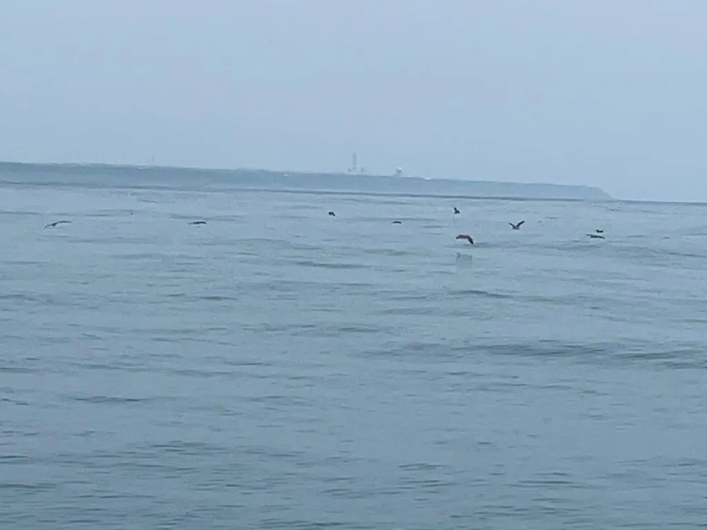 海鳥の多い浅場へとサイドチェンジ