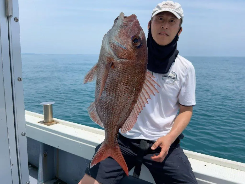 次第にマダイが動き出した模様…