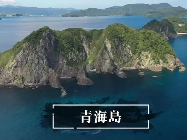 今回の舞台となる青海島。見るからに釣れそうな雰囲気だ