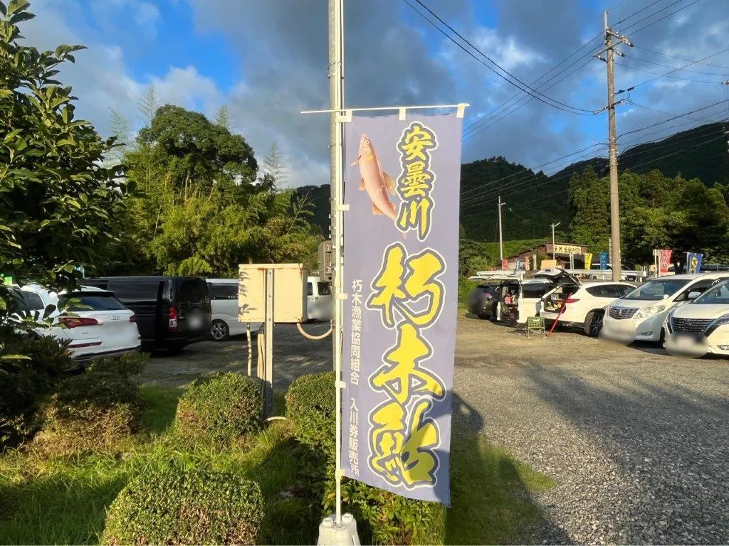 安曇川、琵琶湖産天然アユ。その底力は計り知れない！安曇アユよ、楽しい時間をありがとう〜。また会いに来るぜ〜！